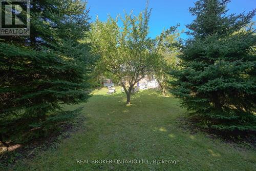 471 East 36Th Street, Hamilton, ON - Outdoor