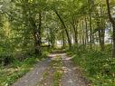 Wooded area - Rue Notre-Dame, Saint-Sulpice, QC 