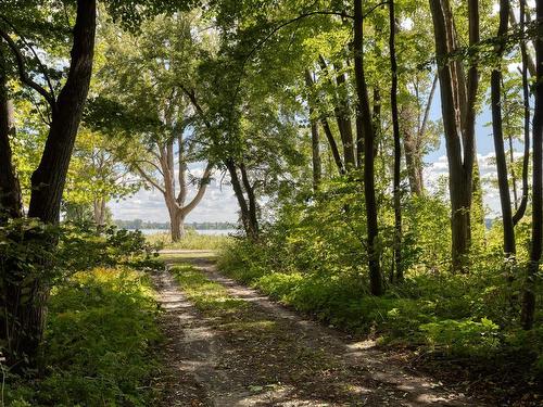 Wooded area - Rue Notre-Dame, Saint-Sulpice, QC 