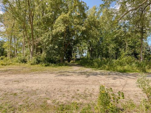 Wooded area - Rue Notre-Dame, Saint-Sulpice, QC 