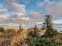 3574 Oakridge Dr, Nanaimo, BC 