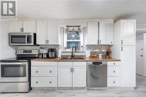 25 Albion Street, Brantford, ON - Indoor Photo Showing Kitchen With Double Sink