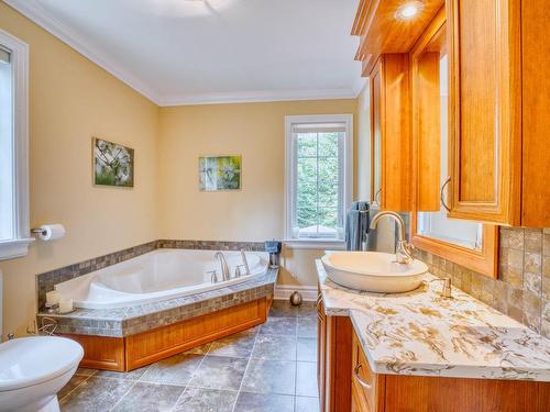 Salle de bains - 94 Ch. Des Loriots, Sainte-Anne-Des-Lacs, QC - Indoor Photo Showing Bathroom