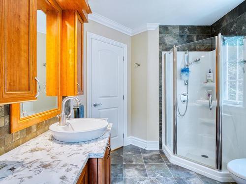 Salle de bains - 94 Ch. Des Loriots, Sainte-Anne-Des-Lacs, QC - Indoor Photo Showing Bathroom