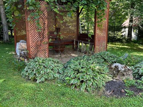 Backyard - 94 Ch. Des Loriots, Sainte-Anne-Des-Lacs, QC - Outdoor