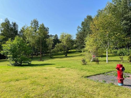 Land/Lot - Mtée Bellevue, Matapédia, QC 