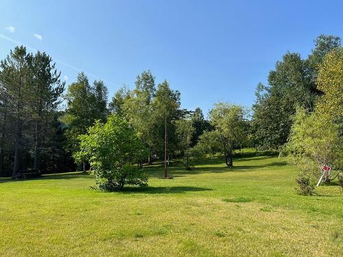 Land/Lot - Mtée Bellevue, Matapédia, QC 