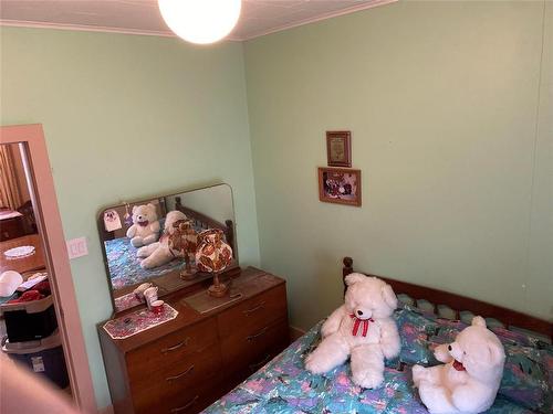 443 13Th Street, Brandon, MB - Indoor Photo Showing Bedroom