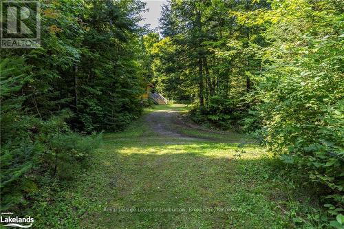 1880 Boldts Lane, Minden Hills, ON - Outdoor