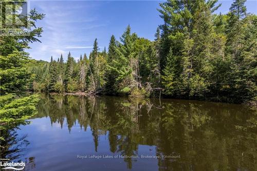 1880 Boldts Lane, Minden Hills, ON - Outdoor With Body Of Water With View