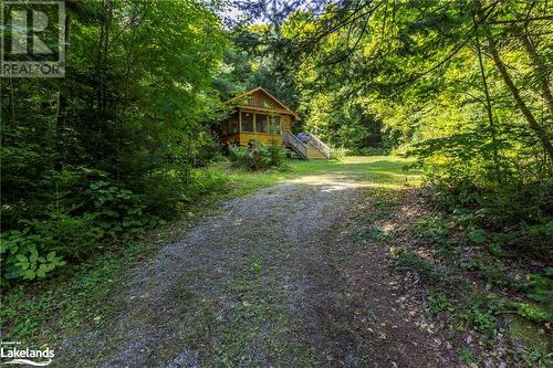 Level road access - 1880 Boldts Lane, Minden Hills, ON - Outdoor