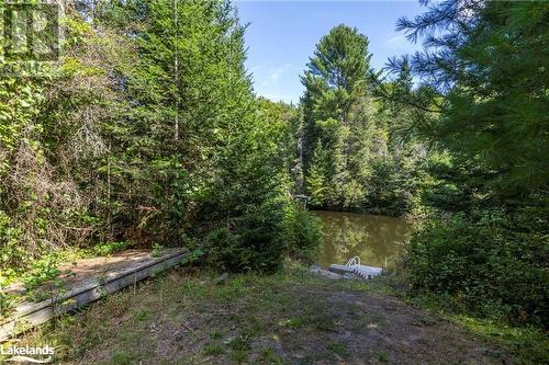 Level path to the river - 1880 Boldts Lane, Minden Hills, ON - Outdoor