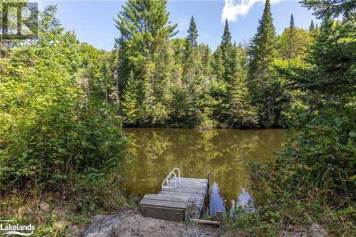 No neighbours across - 1880 Boldts Lane, Minden Hills, ON - Outdoor