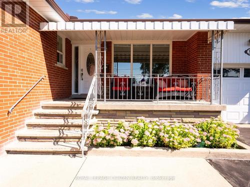 34 Belleglade Court, Toronto (Humbermede), ON - Outdoor