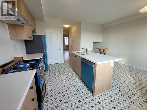 20 Vestry Way, Brampton, ON - Indoor Photo Showing Kitchen With Double Sink