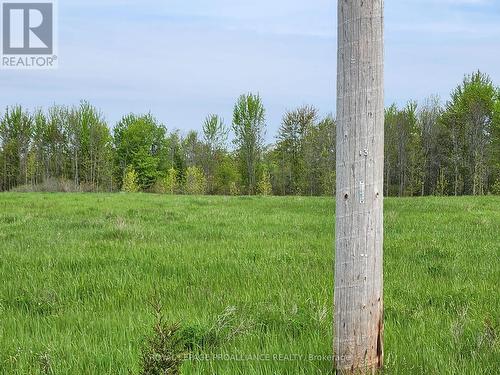 Pt Lt 4 Mitchells Crossroad Road, Prince Edward County (North Marysburgh), ON 