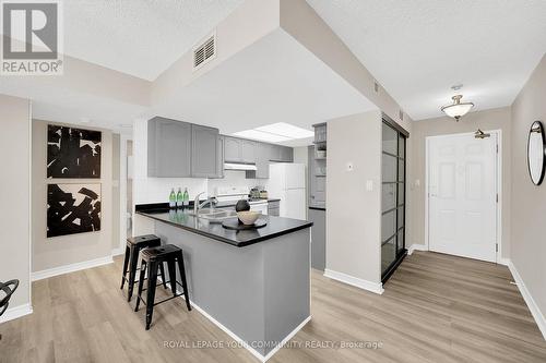 313 - 121 Woodbridge Avenue, Vaughan (West Woodbridge), ON - Indoor Photo Showing Kitchen