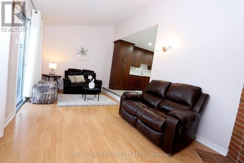 33 Trammell Lane S, Brampton (Fletcher'S West), ON - Indoor Photo Showing Living Room