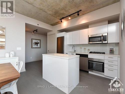 209 - 203 Catherine Street, Ottawa, ON - Indoor Photo Showing Kitchen