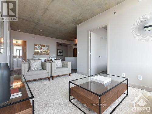 209 - 203 Catherine Street, Ottawa, ON - Indoor Photo Showing Living Room