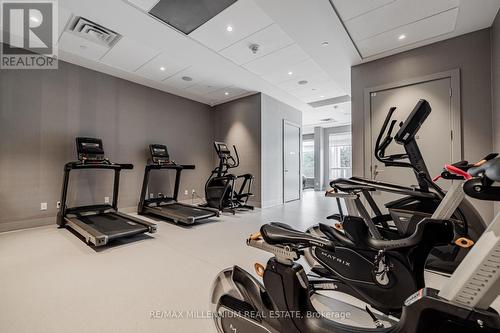 216 - 10 Wilby Crescent, Toronto (Weston), ON - Indoor Photo Showing Gym Room