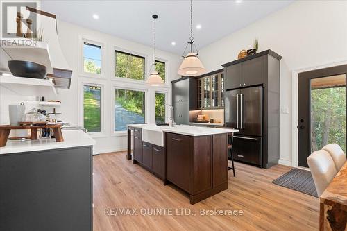 73 Ross Eaton Lane, Prince Edward County (Picton), ON - Indoor Photo Showing Kitchen With Upgraded Kitchen