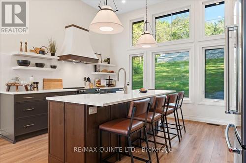 73 Ross Eaton Lane, Prince Edward County (Picton), ON - Indoor Photo Showing Kitchen With Upgraded Kitchen