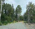 0 Bear Cliff Lodge, Gander River, NL 