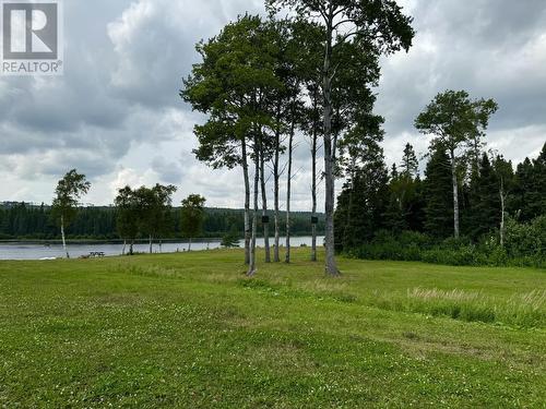 0 Bear Cliff Lodge, Gander River, NL 