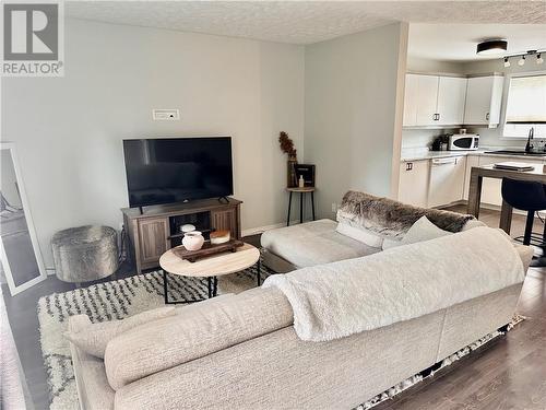 869 Lasalle Boulevard Unit# 101, Greater Sudbury, ON - Indoor Photo Showing Living Room