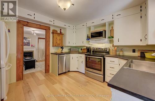 513 St Andrew Street W, Centre Wellington (Fergus), ON - Indoor Photo Showing Kitchen With Double Sink