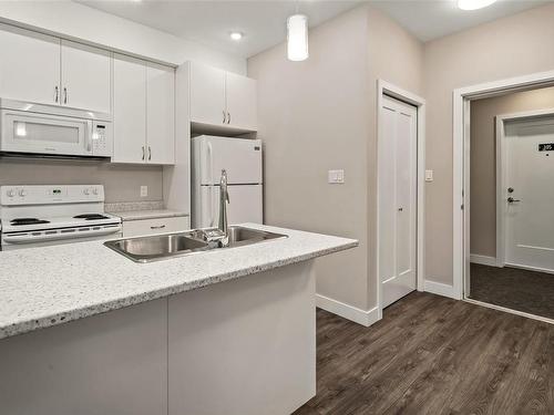 102-1018 Inverness Rd, Saanich, BC - Indoor Photo Showing Kitchen With Double Sink