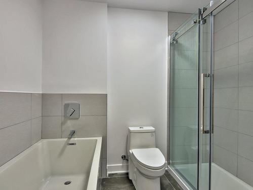 Other - 5-5235 Boul. Grande-Allée, Brossard, QC - Indoor Photo Showing Bathroom