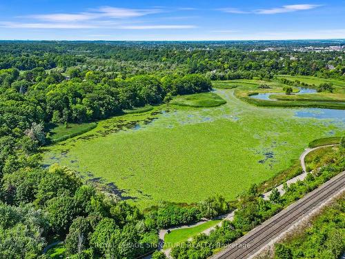 241 Rouge Hills Dr, Toronto, ON - Outdoor With View