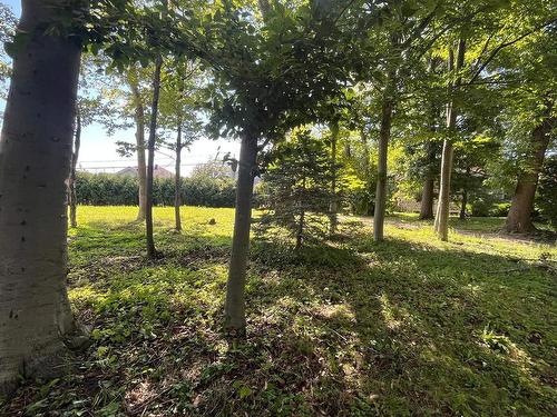 Land/Lot - Rue Des Bois, Saint-Jean-Sur-Richelieu, QC 