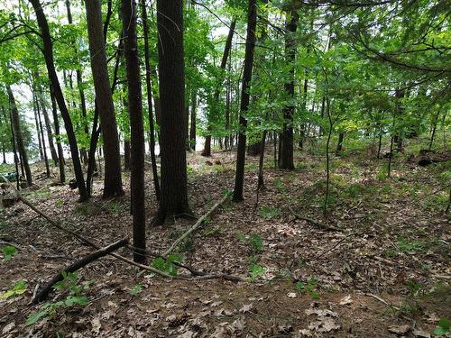 Land/Lot - 28 Ch. Du Lac-Edja E., Blue Sea, QC 