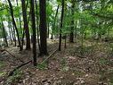 Land/Lot - 28 Ch. Du Lac-Edja E., Blue Sea, QC 