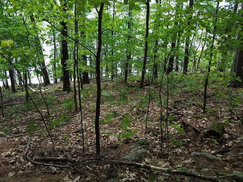 Land/Lot - 28 Ch. Du Lac-Edja E., Blue Sea, QC 