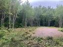 Lot 2020-5 Highway 223, Little Narrows, NS 