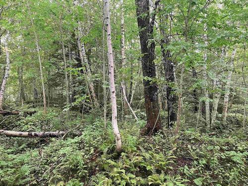 Lot 2020-5 Highway 223, Little Narrows, NS 