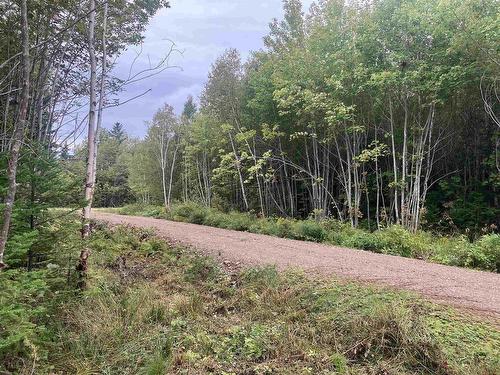 Lot 2020-5 Highway 223, Little Narrows, NS 