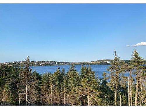 65 Trenton Drive, Paradise, NL 