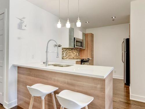 Kitchen - 311-3300 Boul. Cavendish, Montréal (Côte-Des-Neiges/Notre-Dame-De-Grâce), QC - Indoor Photo Showing Kitchen With Upgraded Kitchen