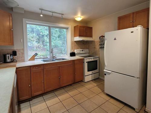 1243 Bain Road, Clearwater, BC - Indoor Photo Showing Kitchen With Double Sink