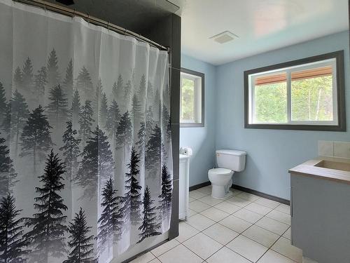 1243 Bain Road, Clearwater, BC - Indoor Photo Showing Bathroom