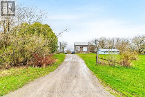 113 Long Beach Road, Kawartha Lakes (Cameron), ON 