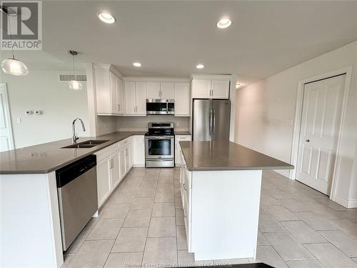 1141 Bridal Falls, Windsor, ON - Indoor Photo Showing Kitchen With Double Sink