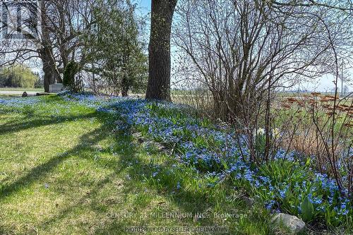 13014 Heritage Road, Caledon, ON - Outdoor