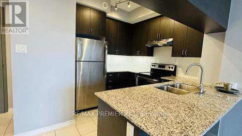 313 - 54 Sky Harbour Drive, Brampton, ON - Indoor Photo Showing Kitchen With Double Sink With Upgraded Kitchen