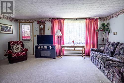 26 Tracy Street, Mcadam, NB - Indoor Photo Showing Living Room